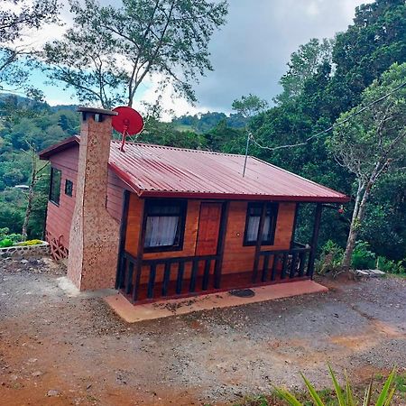 Las Bromelias Lodge Paso Macho Eksteriør billede
