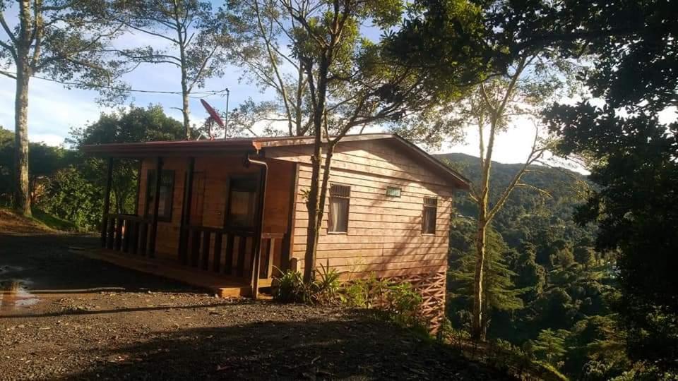 Las Bromelias Lodge Paso Macho Eksteriør billede
