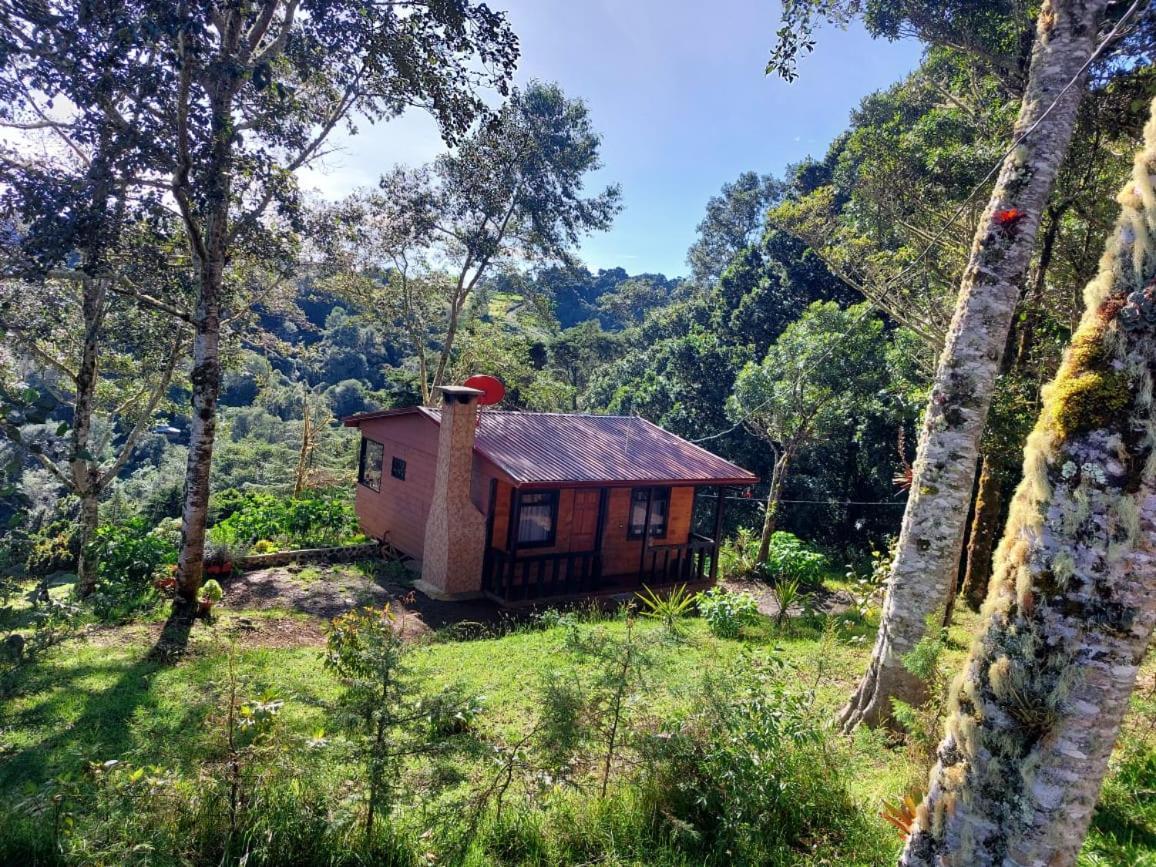 Las Bromelias Lodge Paso Macho Eksteriør billede