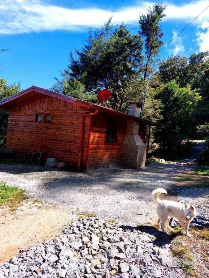 Las Bromelias Lodge Paso Macho Eksteriør billede